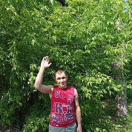 ���� �������, ����, 48 ��� - ��������� 8 ���� 2025