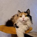 ���� ��������, ��������, 28 ��� - ��������� 1 ���� 2026 � ������ ���� ����������