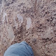 ����, 35 ���, �����������