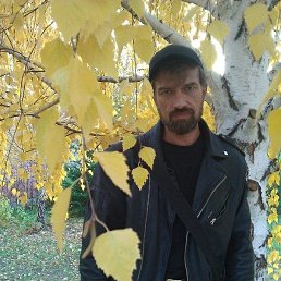 , 54, 