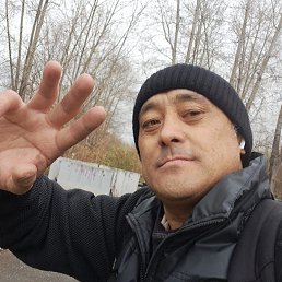 , 46, 