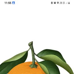 ���� ����, ������ �����, 51 ��� - ��������� 25 ������� 2023