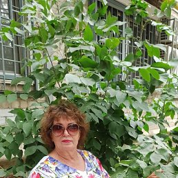 ���� ��������, ���������, 67 ��� - ��������� 1 ������� 2026