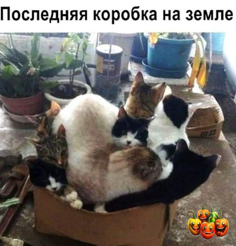   - 11  2024  22:13