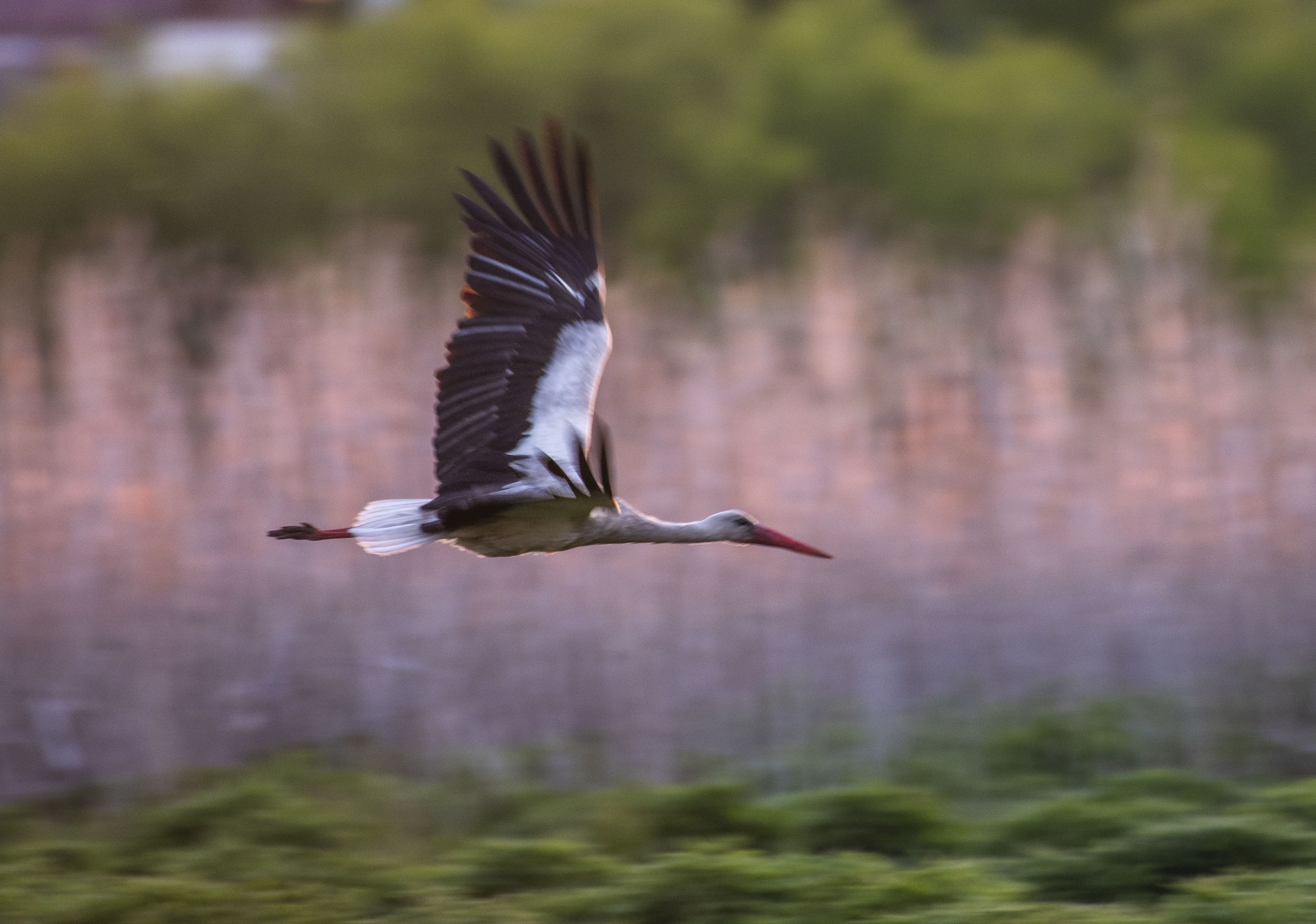  - 18  2025  23:41 - 9