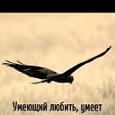 ���� ����, ���������, 44 ���� - ��������� 2 ���� 2025