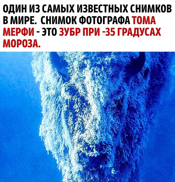 ��������� ����, ��� ����