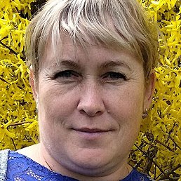 ������, ������, 46 ���