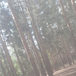 ���� ������, ��������, 37 ��� - ��������� 27 ������� 2023