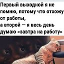 ���� �����, ���� - ��������� 24 �������� 2026 � ������ ������ ��������