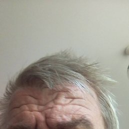 ������, ������, 54 ����