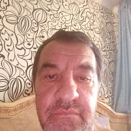 , 56, 