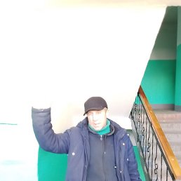 ����, �����������-��-�����, 49 ���