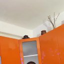 ���� ��������, �������, 49 ��� - ��������� 21 ����� 2026 � ������ ���� ����������