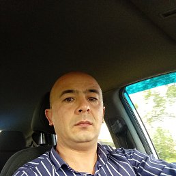 , 37, 