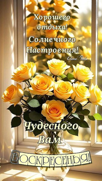 ��� ���� - 19 ������ 2026 � 14:17