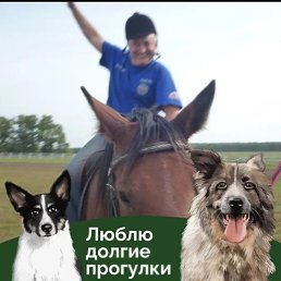 ���� ����, ����, 62 ���� - ��������� 28 ������� 2025