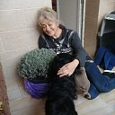 ���� �����, ������, 61 ��� - ��������� 24 ������� 2026