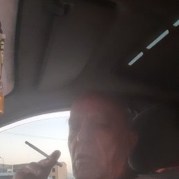 ���� �����, ������, 66 ��� - ��������� 25 ������� 2025