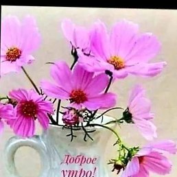 ������ ������, �������-����������, 51 ���