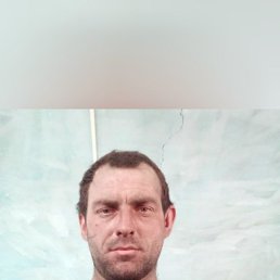 �������, 38 ���, ������