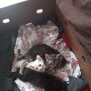 ���� ����, ��������, 25 ��� - ��������� 17 ������� 2024 � ������ ���� ����������