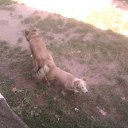 ���� Vasilii, ��������, 69 ��� - ��������� 30 ����� 2025 � ������ ���� ����������