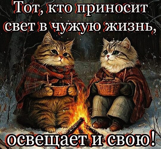   ! - 19  2025  16:17