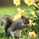 ���� �������, ������, 68 ��� - ��������� 30 ��� 2025 � ������ ������ ��������