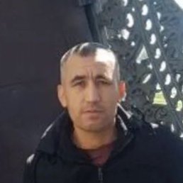 �����, ���������� �����, 46 ���