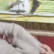 ����� ��������, 34 ����, ������