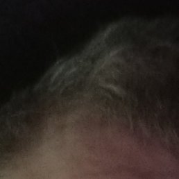 ���������, ����, 65 ���