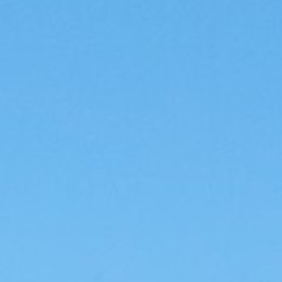 ���������, ��������, 36 ���