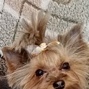 ���� �������, �������, 60 ��� - ��������� 20 ������ 2025 � ������ ���� ����������