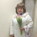 ���� ����, �������� - ��������� 1 ����� 2026 � ������ ���� ����������
