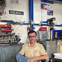, 66, 