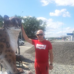 �����, ������, 39 ���