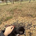 ���� ����������, �����, 22 ���� - ��������� 18 ������ 2025 � ������ ���� ����������