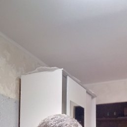 , 49, 