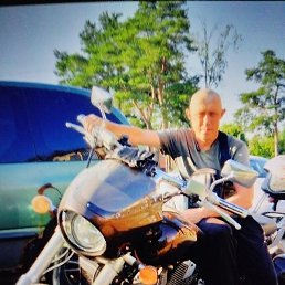 �������, �����, 43 ����