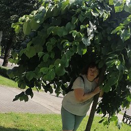 ���� �����, ������, 54 ���� - ��������� 28 ������� 2023