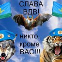 ���� �����, ����, 49 ��� - ��������� 15 �������� 2024 � ������ ������ ��������