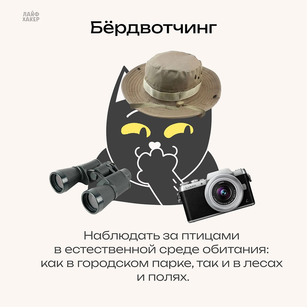 ����� ����� �����, �� �� ������, � ���� ������? �������� ��� ��������� ���������. ��� ������ ... - 2