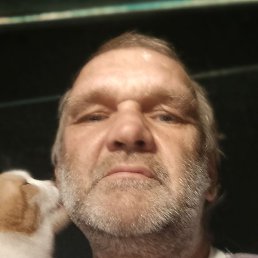 ��������, ����, 55 ���