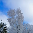 ���� ��������, ����� - ��������� 27 ������ 2024 � ������ ������ ��������