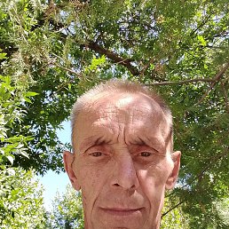 , 50, 