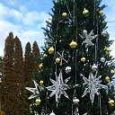 ���� �������, �������, 62 ���� - ��������� 18 ����� 2025 � ������ ���� ����������