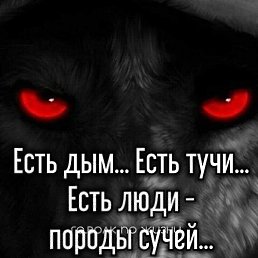 ���������, �������, 39 ���