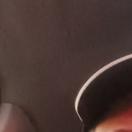 ����, ����, 55 ���