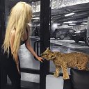 ���� �������, ����������� - ��������� 11 ��� 2026 � ������ ���� ����������